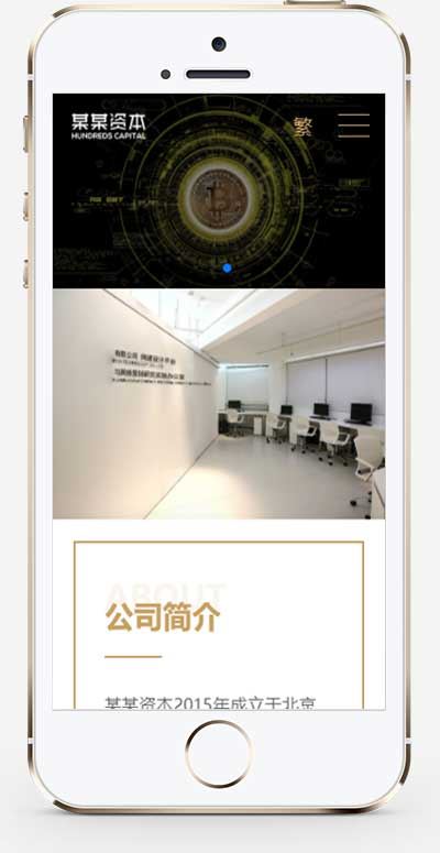 62ca70474a10b.jpg (落地单页)简繁双语响应式HTML5通用金融资本咨询网站单页pbootcms模板自适应手机端