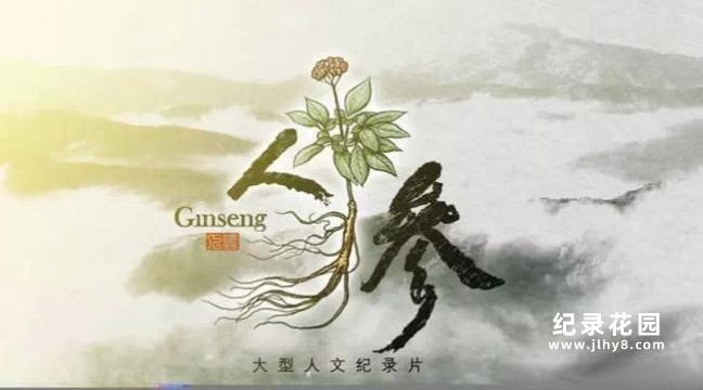 历史人文纪录片《人参 Ginseng》全5集 720P/1080i高清纪录片百度云插图 历史人文纪录片《人参 Ginseng》全5集 720P/1080i高清纪录片百度云