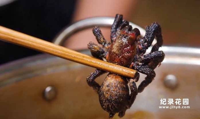 全球美食点评纪录片《阳光美食家》第5季中字 1080高清纪录片解说素材百度云盘下载插图 全球美食点评纪录片《阳光美食家》第5季中字 1080高清纪录片解说素材百度云盘下载