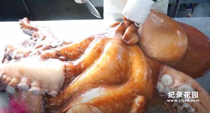 食品生产加工纪录片《诺尔农场》第3季原版无字 1080高清自媒体解说素材百度云盘下载插图 食品生产加工纪录片《诺尔农场》第3季原版无字 1080高清自媒体解说素材百度云盘下载