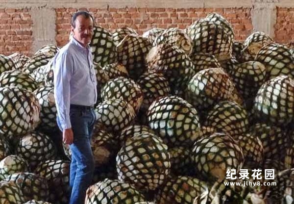 食品生产加工纪录片《诺尔农场》第1季原版无字 1080高清自媒体解说素材百度云盘下载插图 食品生产加工纪录片《诺尔农场》第1季原版无字 1080高清自媒体解说素材百度云盘下载