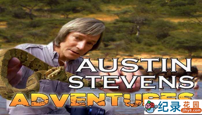 探索频道野生动物纪录片《奥斯汀闯荒野 Austin Stevens Adventures》全12集 720P/1080i高清纪录片百度云下载插图 探索频道野生动物纪录片《奥斯汀闯荒野 Austin Stevens Adventures》全12集 720P/1080i高清纪录片百度云下载
