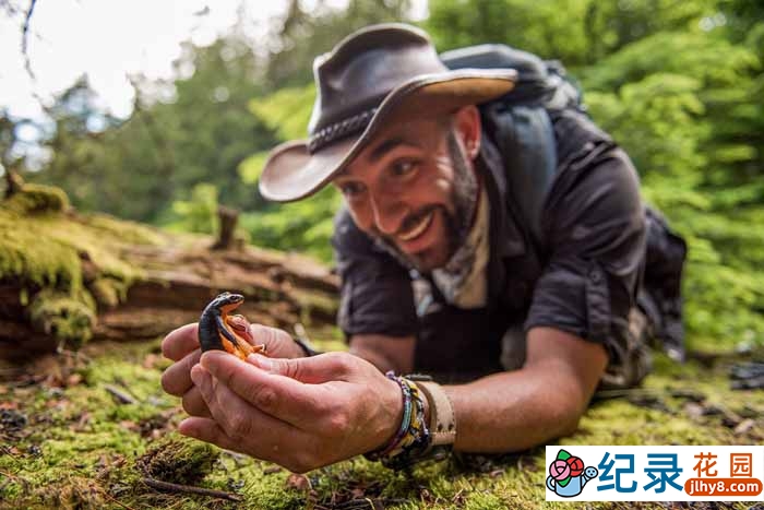 狼叔荒野探险纪录片《野地大胆王完整版》第1季中字 1080P高清自媒体解说素材百度云盘下载插图 狼叔荒野探险纪录片《野地大胆王完整版》第1季中字 1080P高清自媒体解说素材百度云盘下载