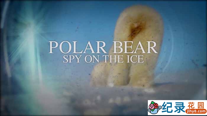 BBC野生动物纪录片《北极熊:冰上侦探 Polar Bear: Spy on the Ice》全1集 720P/1080i高清纪录片百度云下载插图 BBC野生动物纪录片《北极熊:冰上侦探 Polar Bear: Spy on the Ice》全1集 720P/1080i高清纪录片百度云下载