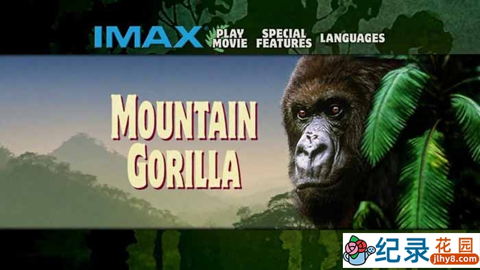 IMAX野生动物纪录片《山地大猩猩 Mountain Gorilla》全1集 720P/1080i高清纪录片百度云下载插图 IMAX野生动物纪录片《山地大猩猩 Mountain Gorilla》全1集 720P/1080i高清纪录片百度云下载