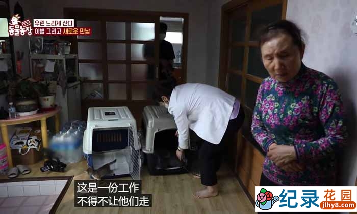 趣味动物行为纪录片《TV动物农场 短视频版》第17季中字 1080P高清自媒体解说素材百度云盘下载插图 趣味动物行为纪录片《TV动物农场 短视频版》第17季中字 1080P高清自媒体解说素材百度云盘下载