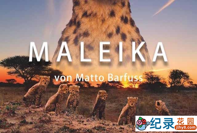 野生动物纪录片《非洲:动物乐园 Maleika》全3集中字 1080P纪录片资源百度云盘下载插图 野生动物纪录片《非洲:动物乐园 Maleika》全3集中字 1080P纪录片资源百度云盘下载
