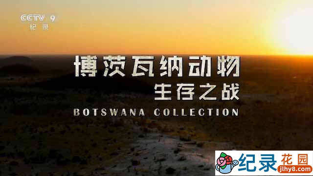 央视自然生态纪录片《博茨瓦纳动物生存之战 Botswana Collection》全3集 TS/蓝光高清纪录片资源百度云盘下载插图 央视自然生态纪录片《博茨瓦纳动物生存之战 Botswana Collection》全3集 TS/蓝光高清纪录片资源百度云盘下载
