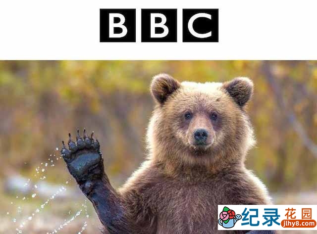 BBC野生动物纪录片《灰熊末路 The Last Grizzly》全1集中字 TS/蓝光高清纪录片资源百度云盘下载插图 BBC野生动物纪录片《灰熊末路 The Last Grizzly》全1集中字 TS/蓝光高清纪录片资源百度云盘下载