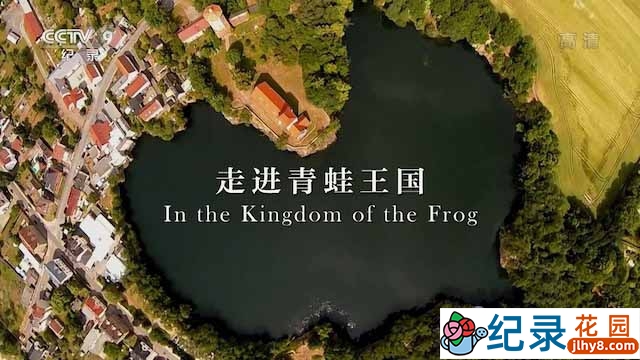 德国两栖动物纪录片《走进青蛙王国 In the Kingdom of the Frog》全1集中字 TS/蓝光高清纪录片资源百度云盘下载插图 德国两栖动物纪录片《走进青蛙王国 In the Kingdom of the Frog》全1集中字 TS/蓝光高清纪录片资源百度云盘下载