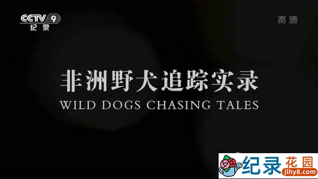 央视野生动物纪录片《非洲野犬追踪实录 Wild Dogs Chasing Tales》全4集 TS/蓝光高清纪录片资源百度云盘下载插图 央视野生动物纪录片《非洲野犬追踪实录 Wild Dogs Chasing Tales》全4集 TS/蓝光高清纪录片资源百度云盘下载