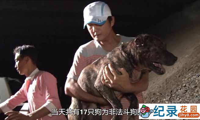 SBS韩国动物保护纪录片《拯救动物》第5季180集中字 720P/1080i高清纪录片资源百度云盘下载插图 SBS韩国动物保护纪录片《拯救动物》第5季180集中字 720P/1080i高清纪录片资源百度云盘下载