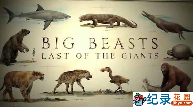 央视野生动物保护纪录片《终极巨兽档案 Big Beasts: Last of the Giants》全3集 TS/蓝光高清纪录片资源百度云盘下载插图 央视野生动物保护纪录片《终极巨兽档案 Big Beasts: Last of the Giants》全3集 TS/蓝光高清纪录片资源百度云盘下载