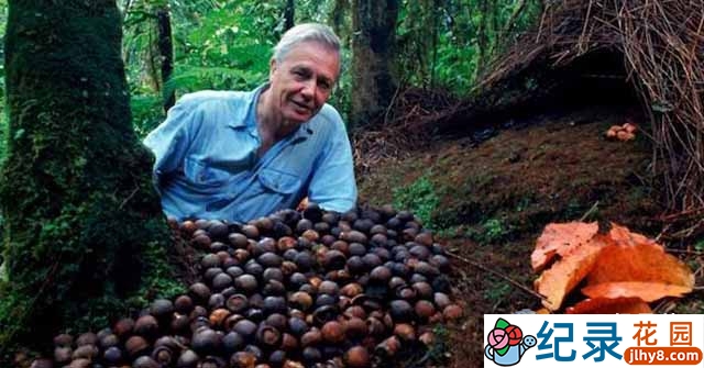 BBC自然生态纪录片《动物之家 Animal House》全1集 标清纪录片资源百度云盘下载插图 BBC自然生态纪录片《动物之家 Animal House》全1集 标清纪录片资源百度云盘下载