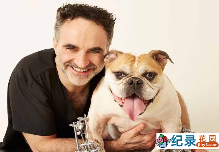 BBC动物保护纪录片《超级兽医 The Supervet》全3集 720P/1080i高清纪录片资源百度云盘下载插图 BBC动物保护纪录片《超级兽医 The Supervet》全3集 720P/1080i高清纪录片资源百度云盘下载