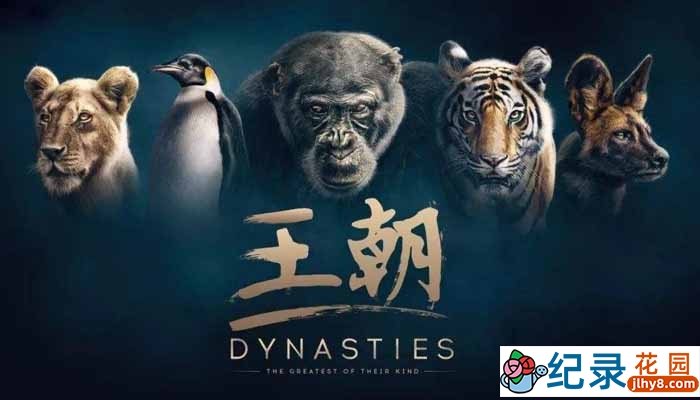 BBC野生动物纪录片《王朝 Dynasties》全5集中字 2K高清纪录片资源百度云盘下载插图 BBC野生动物纪录片《王朝 Dynasties》全5集中字 2K高清纪录片资源百度云盘下载