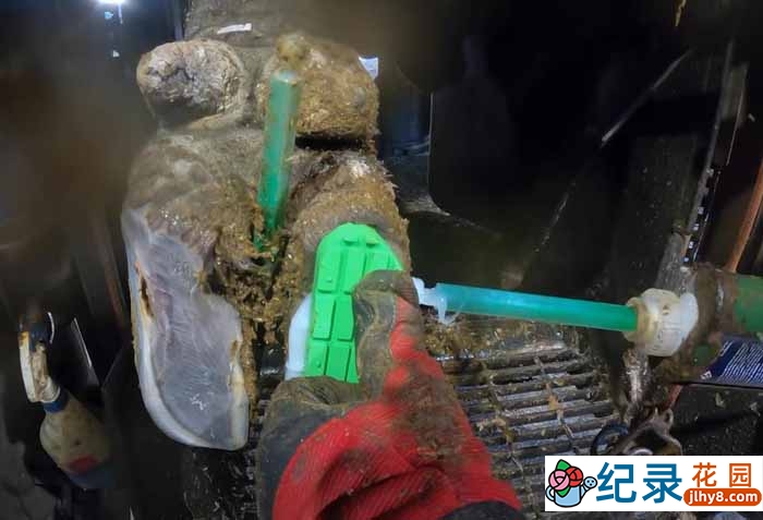 解压治愈纪录片《修剪牛蹄》第5季中字 1080高清纪录片解说素材百度云盘下载插图 解压治愈纪录片《修剪牛蹄》第5季中字 1080高清纪录片解说素材百度云盘下载