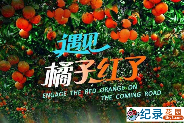 央视美食纪录片《遇见·橘子红了》全4集 720P/1080i高清纪录片资源百度云盘下载插图 央视美食纪录片《遇见·橘子红了》全4集 720P/1080i高清纪录片资源百度云盘下载