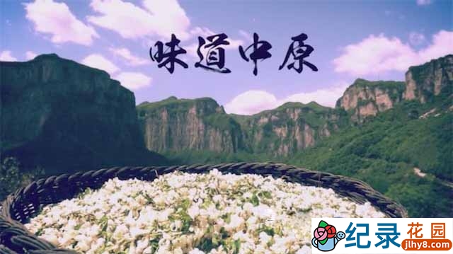 河南地方美食纪录片《味道中原》全40集 标清纪录片资源百度云盘下载插图 河南地方美食纪录片《味道中原》全40集 标清纪录片资源百度云盘下载