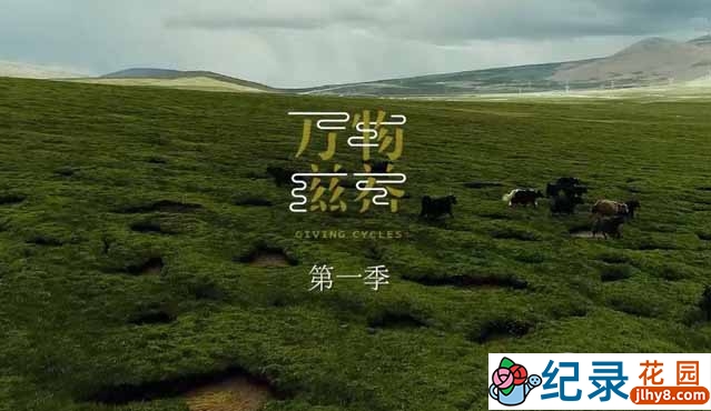 健康美食纪录片《万物滋养 Giving Cycles》第1季 720P/1080i高清纪录片资源百度云盘下载插图 健康美食纪录片《万物滋养 Giving Cycles》第1季 720P/1080i高清纪录片资源百度云盘下载