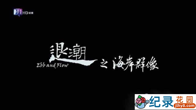 PTS人与自然纪录片《退潮之海岸群像 Ebb and Flow – Special》全1集中字 1080P纪录片资源百度云盘下载插图 PTS人与自然纪录片《退潮之海岸群像 Ebb and Flow – Special》全1集中字 1080P纪录片资源百度云盘下载
