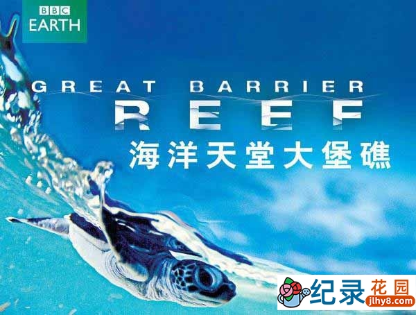 BBC自然地理纪录片《海洋天堂大堡礁 Great Barrier Reef》全3集 720P/1080i高清纪录片百度云下载插图 BBC自然地理纪录片《海洋天堂大堡礁 Great Barrier Reef》全3集 720P/1080i高清纪录片百度云下载