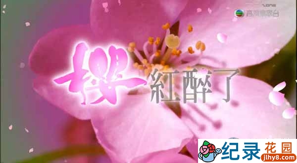 TVB旅游纪录片《樱红醉了 Sakura Memories》全7集 720P/1080i高清纪录片百度云下载插图 TVB旅游纪录片《樱红醉了 Sakura Memories》全7集 720P/1080i高清纪录片百度云下载