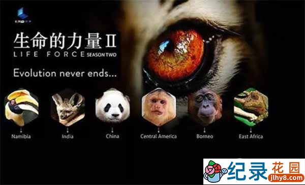 NHK自然生态纪录片《生命的力量 Life Force》第2季 720P/1080i高清纪录片资源百度云盘下载插图 NHK自然生态纪录片《生命的力量 Life Force》第2季 720P/1080i高清纪录片资源百度云盘下载