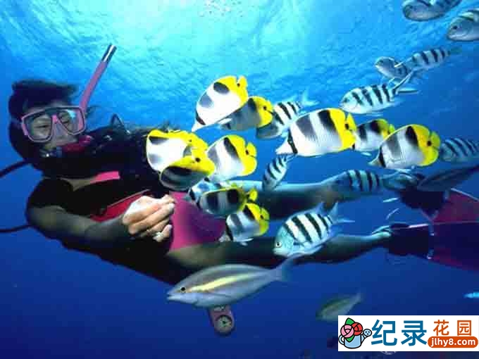 CCTV央视自然风光纪录片《魅力马尔代夫 Glamorous Maldives》全3集 720P/1080i高清纪录片资源百度云盘下载插图1 CCTV央视自然风光纪录片《魅力马尔代夫 Glamorous Maldives》全3集 720P/1080i高清纪录片资源百度云盘下载