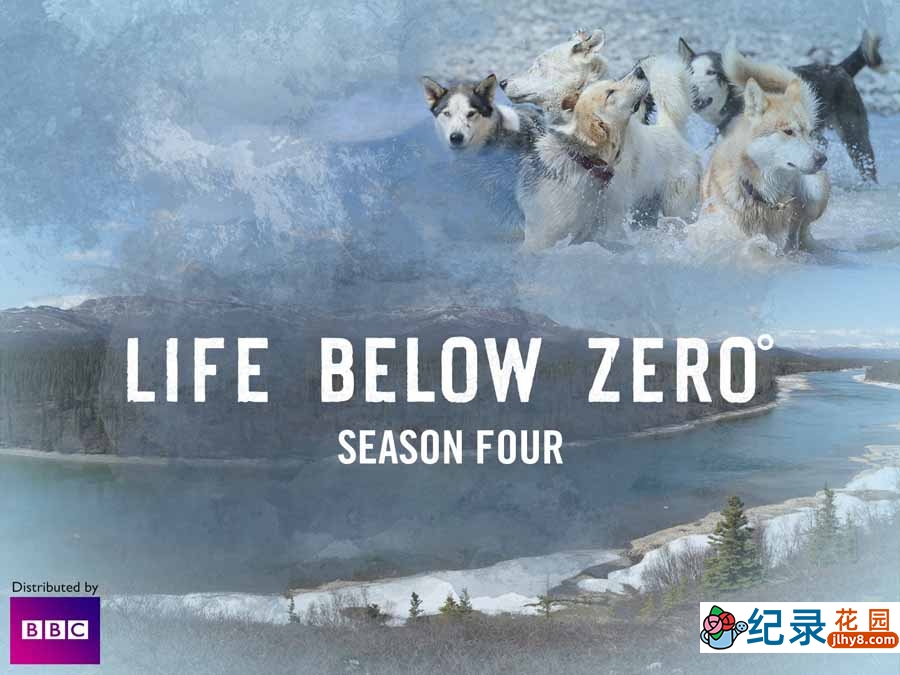 冰原生存挑战纪录片《零度以下的生活 Life Below Zero》第4季全8集中字 纪录片解说素材百度云盘下载 1080P/MKV/35.7G插图 冰原生存挑战纪录片《零度以下的生活 Life Below Zero》第4季全8集中字 纪录片解说素材百度云盘下载 1080P/MKV/35.7G