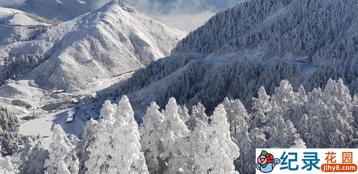 PTS自然地理纪录片《合欢山岁时风云》全1集 720P/1080i高清纪录片资源百度云盘下载插图 PTS自然地理纪录片《合欢山岁时风云》全1集 720P/1080i高清纪录片资源百度云盘下载