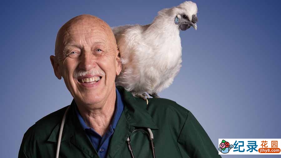 国家地理妙手兽医纪录片《动物神医 The Incredible Dr.Pol》第14季全12集中字 纪录片解说素材百度云盘下载 1080/MKV/31.4G插图 国家地理妙手兽医纪录片《动物神医 The Incredible Dr.Pol》第14季全12集中字 纪录片解说素材百度云盘下载 1080/MKV/31.4G