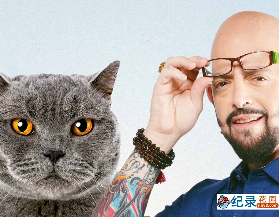 管教恶猫纪录片《金牌训猫师》第1季全3集中字 纪录片解说素材百度云盘下载 1080P/MP4/7.23G插图 管教恶猫纪录片《金牌训猫师》第1季全3集中字 纪录片解说素材百度云盘下载 1080P/MP4/7.23G