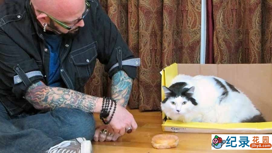 管教恶猫纪录片《金牌训猫师》第7季全10集中字 纪录片解说素材百度云盘下载 1080P/MP4/22.5G插图 管教恶猫纪录片《金牌训猫师》第7季全10集中字 纪录片解说素材百度云盘下载 1080P/MP4/22.5G