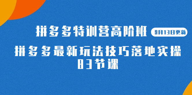 2023拼多多·特训营高阶班【9月13日更新】拼多多最新玩法技巧落地实操-83节插图 2023拼多多·特训营高阶班【9月13日更新】拼多多最新玩法技巧落地实操-83节