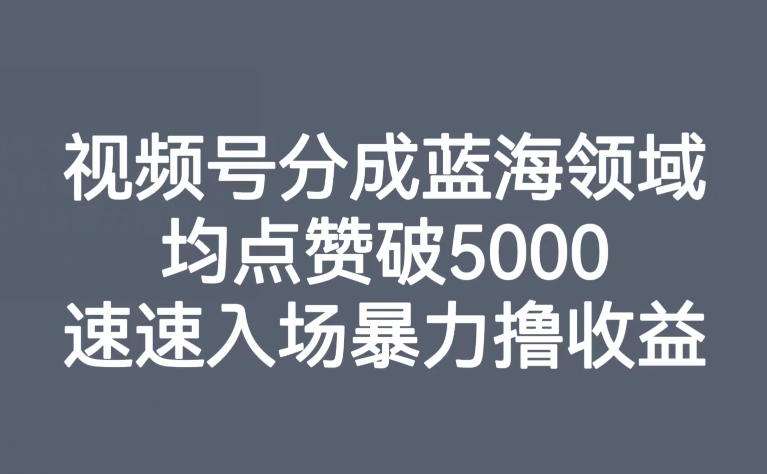 视频号分成蓝海领域,均点赞破5000,速速入场暴力撸收益插图 视频号分成蓝海领域,均点赞破5000,速速入场暴力撸收益