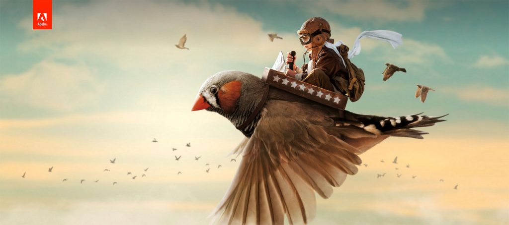 Adobe CC 2017 Win系列软件 免费下载