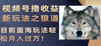 视频号撸收益新玩法之狼道,目前蓝海玩法轻松月入过万!插图 视频号撸收益新玩法之狼道,目前蓝海玩法轻松月入过万!
