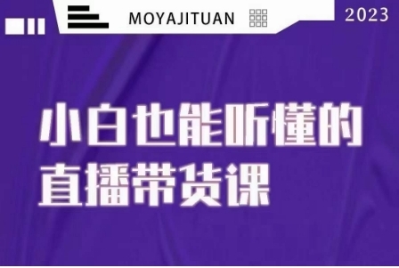 大威本威·能听懂的直播带货课,小白也能听懂,20节完整插图 大威本威·能听懂的直播带货课,小白也能听懂,20节完整