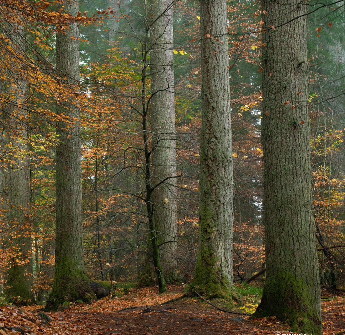 Alister Benn富有表现力的风光后期减淡和加深大师班-中英字幕插图5 Alister Benn富有表现力的风光后期减淡和加深大师班-中英字幕