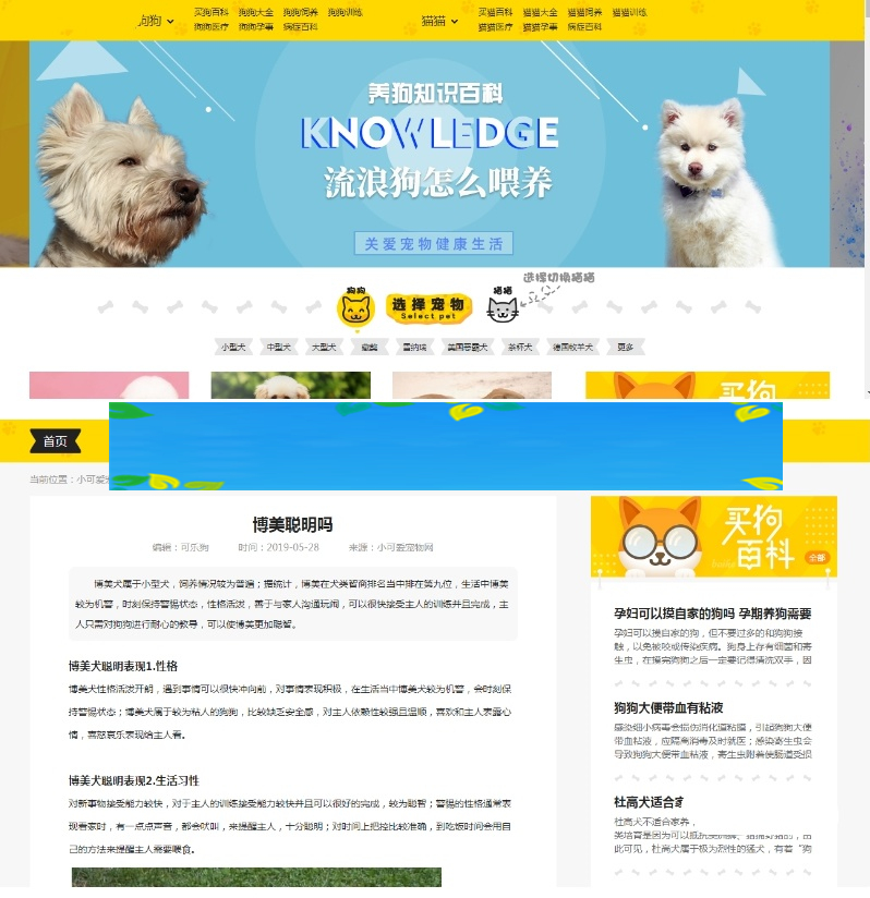 96kaifa仿《小可爱宠物网》完整版源码下载+火车头采集+手机版 专业宠物资讯平台源码插图 96kaifa仿《小可爱宠物网》完整版源码下载+火车头采集+手机版 专业宠物资讯平台源码