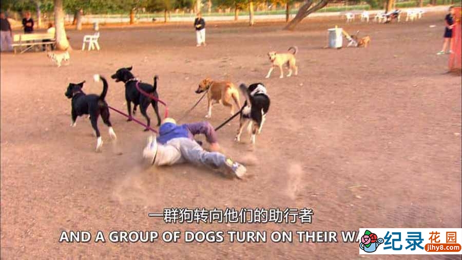 离奇作死事件纪录片《1000种死法 1000 Ways to Die》第2季全12集中字 纪录片解说素材百度云盘下载 1080/MKV/23G插图 离奇作死事件纪录片《1000种死法 1000 Ways to Die》第2季全12集中字 纪录片解说素材百度云盘下载 1080/MKV/23G