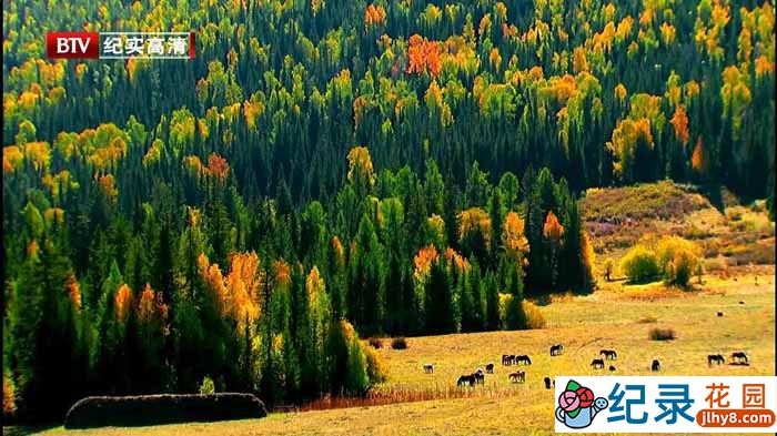 新疆自然人文纪录片《净土喀纳斯》全6集 720P/1080i高清纪录片百度云插图2 新疆自然人文纪录片《净土喀纳斯》全6集 720P/1080i高清纪录片百度云