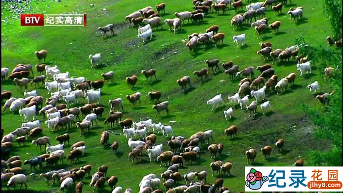 新疆自然人文纪录片《净土喀纳斯》全6集 720P/1080i高清纪录片百度云插图3 新疆自然人文纪录片《净土喀纳斯》全6集 720P/1080i高清纪录片百度云