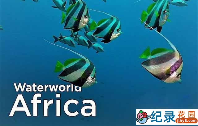 自然生态纪录片《非洲水世界 Waterworld Africa》全8集 720P/1080i高清纪录片资源百度云盘下载插图 自然生态纪录片《非洲水世界 Waterworld Africa》全8集 720P/1080i高清纪录片资源百度云盘下载
