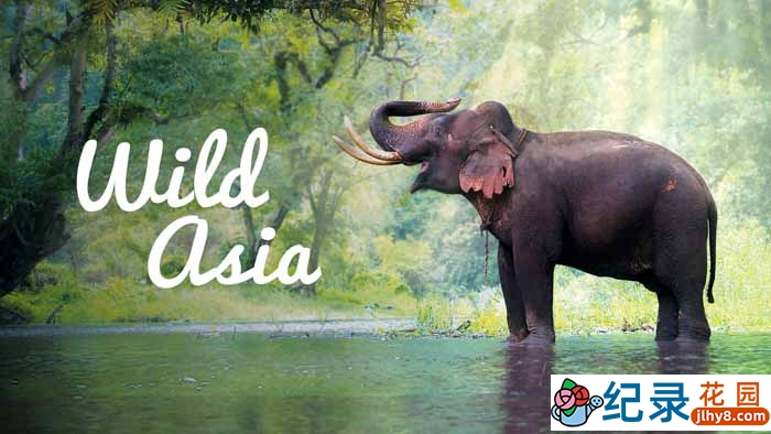 NHNZ自然生态纪录片《狂野亚洲 Wild Asia》全9集 720P/1080i高清纪录片资源百度云盘下载插图 NHNZ自然生态纪录片《狂野亚洲 Wild Asia》全9集 720P/1080i高清纪录片资源百度云盘下载