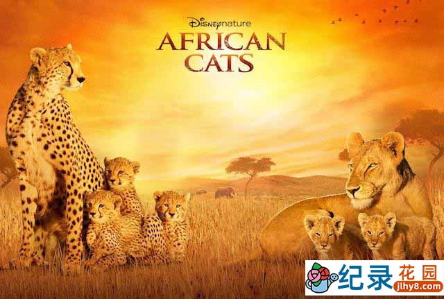迪士尼自然生物纪录片《非洲猫科 African Cats 2011》全1集 720P/1080i高清纪录片资源百度云盘下载插图 迪士尼自然生物纪录片《非洲猫科 African Cats 2011》全1集 720P/1080i高清纪录片资源百度云盘下载