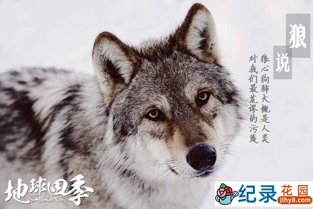 自然生态纪录片《地球四季 Les Saisons》全1集 720P/1080i高清纪录片资源百度云盘下载插图 自然生态纪录片《地球四季 Les Saisons》全1集 720P/1080i高清纪录片资源百度云盘下载