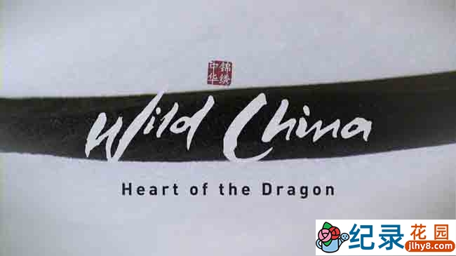 BBC自然人文纪录片《美丽中国 Wild China 2008》全6集 720P/1080i高清纪录片资源百度云盘下载插图 BBC自然人文纪录片《美丽中国 Wild China 2008》全6集 720P/1080i高清纪录片资源百度云盘下载