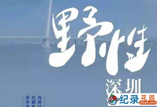 自然生态纪录片《野性深圳 Wild Shenzhen》全5集 720P/1080i高清纪录片百度云下载插图 自然生态纪录片《野性深圳 Wild Shenzhen》全5集 720P/1080i高清纪录片百度云下载